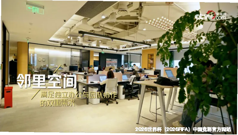 数据匠心，专业护航